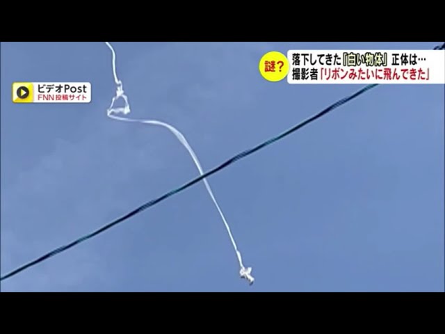 晴れた空に突如現れた謎の白い物体！少女が撮影した物体の正体は…!?【動画ニュース】